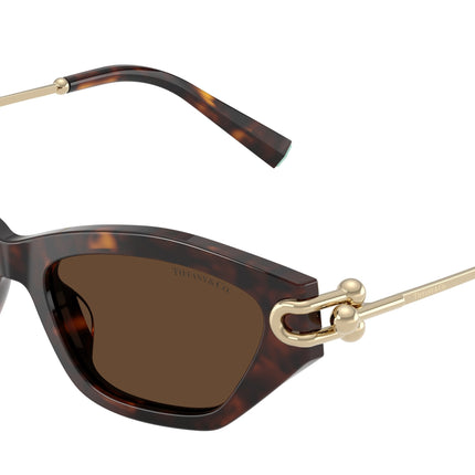 Tiffany TF4231U Cat Eye Sunglasses  80153G-Havana 53-140-17 - Color Map Tortoise
