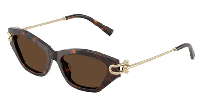 Tiffany TF4231U Cat Eye Sunglasses  80153G-Havana 53-140-17 - Color Map Tortoise