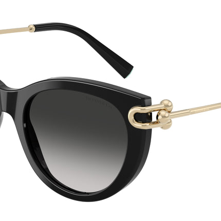 Tiffany TF4232 Butterfly Sunglasses  80013C-Black 53-140-19 - Color Map Black