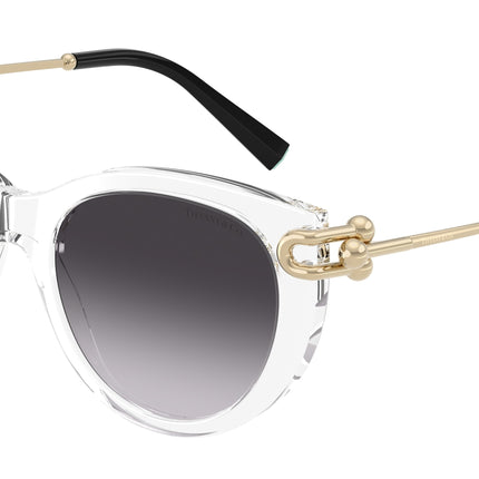 Tiffany TF4232 Butterfly Sunglasses  80473C-Clear 53-140-19 - Color Map Transparent