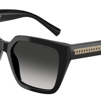 Tiffany TF4235 Square Sunglasses  80013C-Black 55-140-17 - Color Map Black