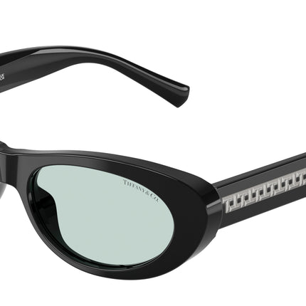 Tiffany TF4236U Oval Sunglasses  8001D9-Black 55-140-17 - Color Map Black