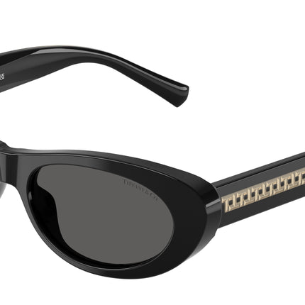 Tiffany TF4236U Oval Sunglasses  8001S4-Black 55-140-17 - Color Map Black