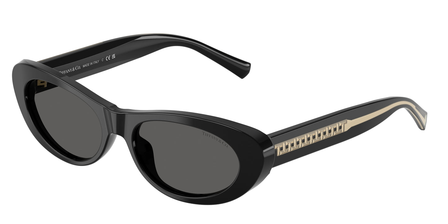 Tiffany TF4236U Oval Sunglasses  8001S4-Black 55-140-17 - Color Map Black
