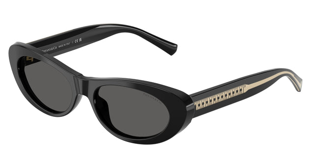 Tiffany TF4236U Oval Sunglasses  8001S4-Black 55-140-17 - Color Map Black