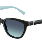 55-140-17 / 80019S-Black