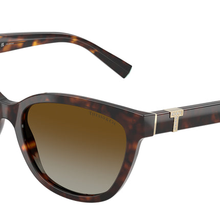Tiffany TF4237B Cat Eye Sunglasses  8015T5-Havana 55-140-17 - Color Map Tortoise