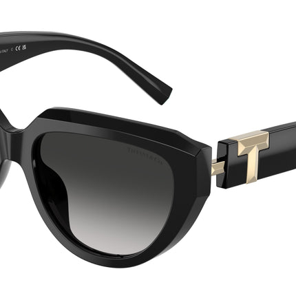 Tiffany TF4238U Pillow Sunglasses  80013C-Black 55-140-17 - Color Map Black