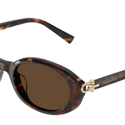 Tiffany TF4242D Oval Sunglasses  80153G-Havana 54-140-19 - Color Map Tortoise