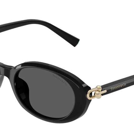 Tiffany TF4242D Oval Sunglasses  8361S4-Black 54-140-19 - Color Map Black