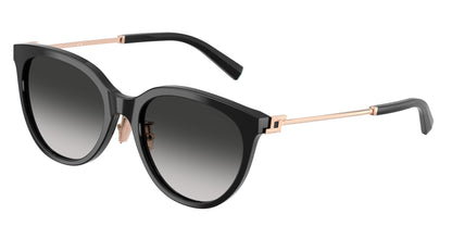 Tiffany TF4243D Round Sunglasses  80013C-Black 55-145-19 - Color Map Black