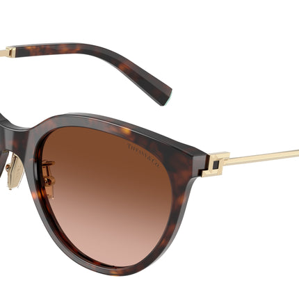Tiffany TF4243D Round Sunglasses  80153B-Havana 55-145-19 - Color Map Tortoise