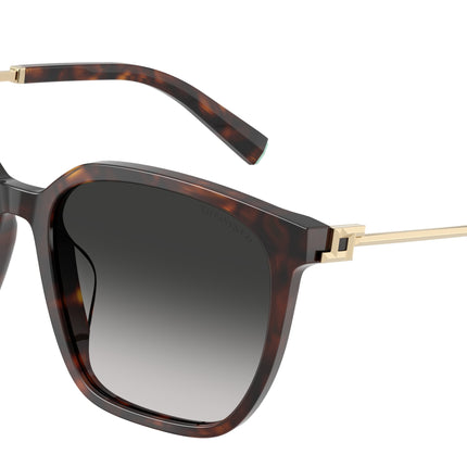 Tiffany TF4244D Square Sunglasses  80153C-Havana 56-145-17 - Color Map Tortoise