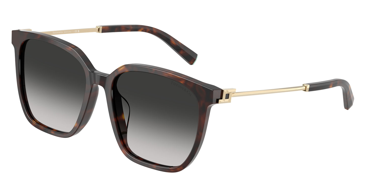 Tiffany TF4244D Square Sunglasses  80153C-Havana 56-145-17 - Color Map Tortoise