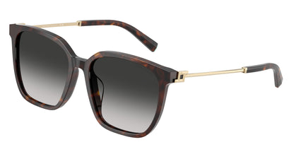 Tiffany TF4244D Square Sunglasses  80153C-Havana 56-145-17 - Color Map Tortoise