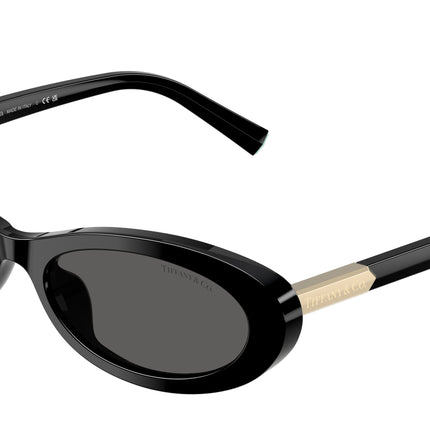 Tiffany TF4250 Oval Sunglasses  8001S4-Black 56-140-17 - Color Map Black