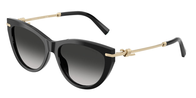 Tiffany TF4253F Cat Eye Sunglasses  80013C-Black 55-145-16 - Color Map Black