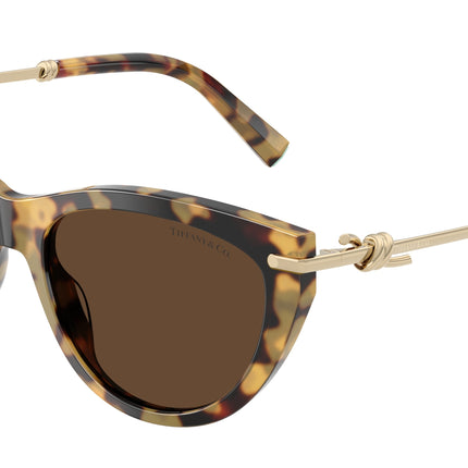 Tiffany TF4253F Cat Eye Sunglasses  80643G-Blonde Havana 55-145-16 - Color Map Tortoise