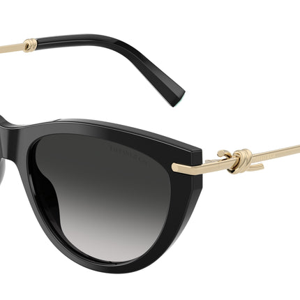 Tiffany TF4253 Cat Eye Sunglasses  80013C-Black 55-145-16 - Color Map Black