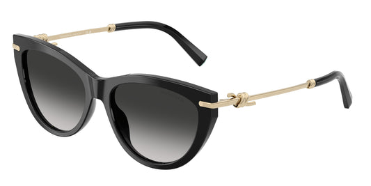 Tiffany TF4253 Cat Eye Sunglasses  80013C-Black 55-145-16 - Color Map Black