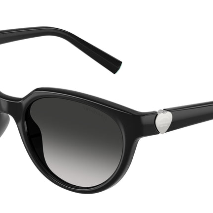 Tiffany TF4256D Cat Eye Sunglasses  80013C-Black 55-140-19 - Color Map Black