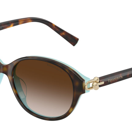 Tiffany TF4263D Round Sunglasses  81343B-Havana On Tiffany Blue 54-140-17 - Color Map Brown