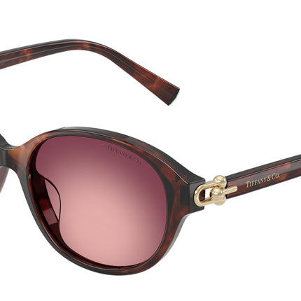 Tiffany TF4263D Round Sunglasses  84218H-Spotted Brown Havana 54-140-17 - Color Map Brown