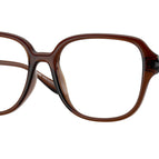 55-140-18 / 5534-Transparent Brown