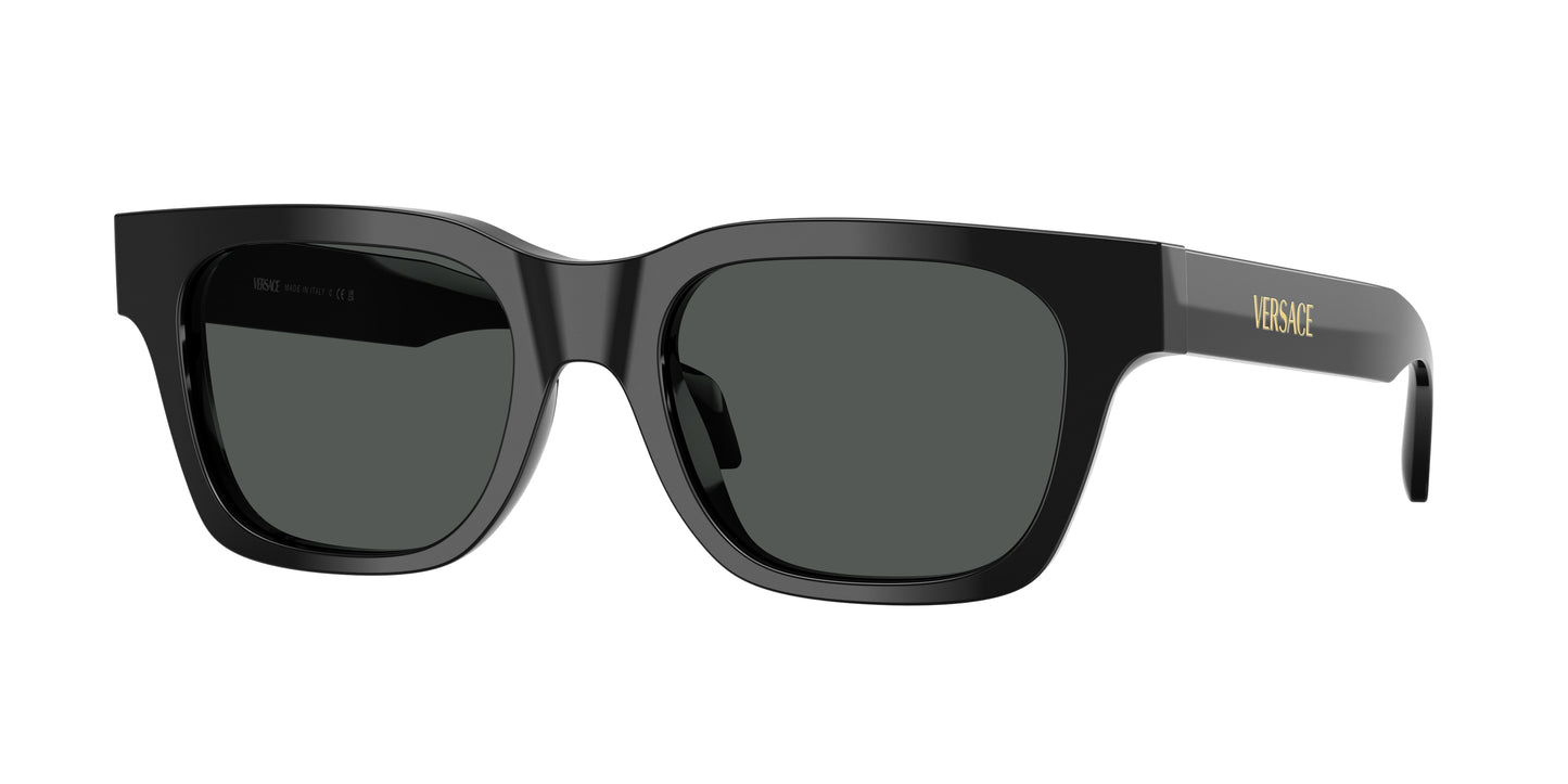 Versace VE4486 Square Sunglasses  GB1/87-Black 52-140-19 - Color Map Black