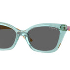 48-125-16 / 303287-Transparent Sage