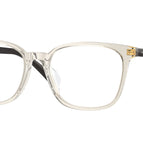 53-145-17 / 2998-Transparent Light Brown