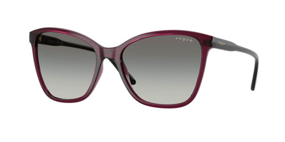 Vogue VO5520S Butterfly Sunglasses - Lensntrends