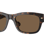 55-145-20 / W65673-Dark Havana