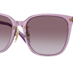 58-145-19 / 29228H-Transparent Violet