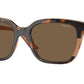 Vogue VO5558SF Square Sunglasses  315773-Top Havana/Transparent Brown 55-140-19 - Color Map Brown