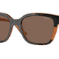 Vogue VO5558S Square Sunglasses  313473-Havana/Transparent Brown Glitter 55-140-19 - Color Map Tortoise
