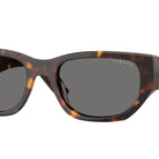 53-140-19 / W65681-Dark Havana - Polarized