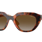 51-140-19 / W656T5-Dark Havana - Polarized