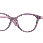 46-125-16 / 3064-Transparent Violet