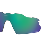 38-- / 000083- - Polarized