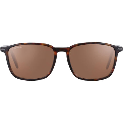 Serengeti Lenwood Sunglasses Dark Havana Shiny Medium, Large, Extra Large