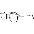 Large / Shiny Silver