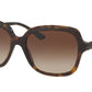 Bvlgari BV8176BF Square Sunglasses  504/13-DARK HAVANA 58-17-140 - Color Map havana