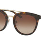 Bvlgari BV8184BF Round Sunglasses  504/13-DARK HAVANA 53-22-145 - Color Map havana