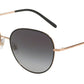 Dolce & Gabbana DG2194 Sunglasses