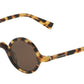 DOLCE & GABBANA DG4303 Round Sunglasses