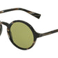Dolce & Gabbana DG4342F Sunglasses