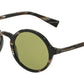Dolce & Gabbana DG4342 Sunglasses