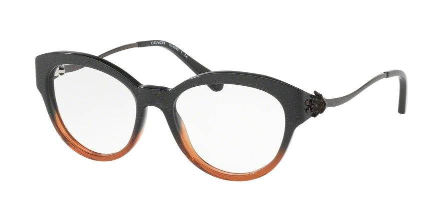Coach HC6093 Cat Eye Eyeglasses