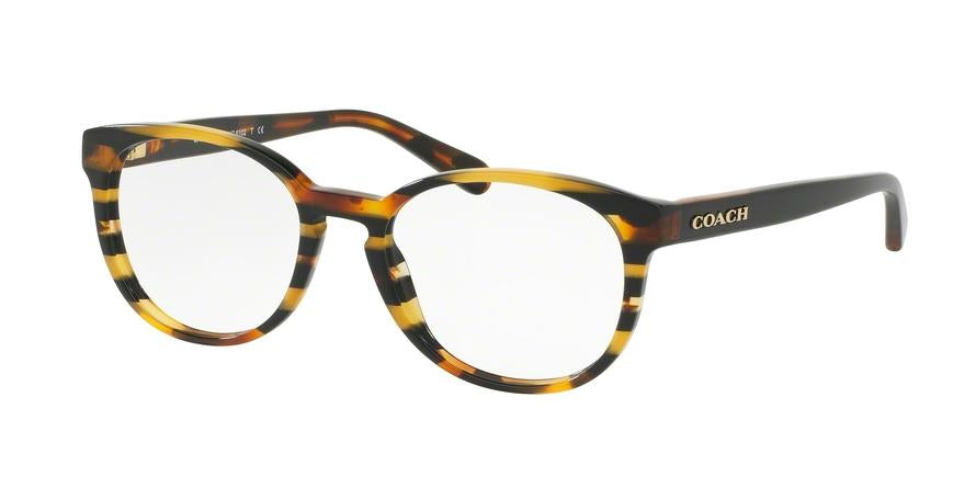 Coach HC6102 Phantos Eyeglasses  5440-BLACK AMBER GLITTER STRIPES 51-18-140 - Color Map multi